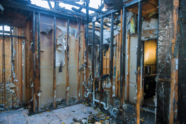 Professional Fire Damage Removal technician working in Columbine, CO